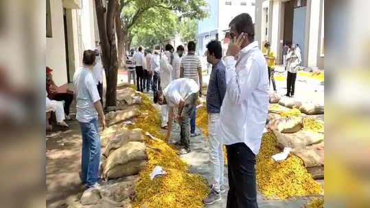 दिवाळी पाडव्याच्या मुहूर्तावर सौदे, राजापुरी हळदीला झळाळी,१७ हजारांचा विक्रमी दर, शेतकऱ्यांना दिलासा