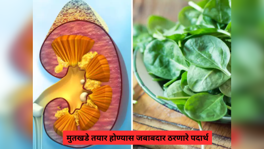 Kidney Stones Causing Foods : किडनीत भयंकर मुतखडे बनवतात 'हे' 15 पदार्थ, ऑपरेशन व वेदनेने तडफडण्याआधी खाणं सोडा