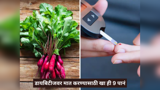 WHO चा हादरवणारा खुलासा - 42 करोड लोकांना झालाय Diabetes, कधीच वाढू नये Blood Sugar म्हणून ताबडतोब खा ही 9 पानं