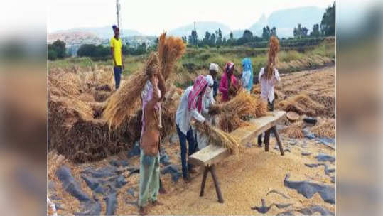 पाहणीचा फार्स करा, पण मदतही वेळेत द्या! अनुभवांनी पोळलेल्या शेतकऱ्यांसह संघटनांची अपेक्षा