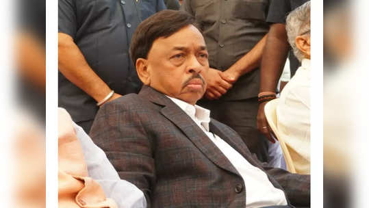 Narayan Rane: जगातील विकसित देशांच्या तुलनेत भारतातील बेरोजगारी कमीच; नारायण राणेंनी थेट आकडेवारीच मांडली