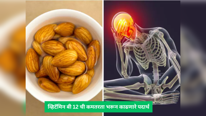 Vitamin B12 कमीने थांबतो श्वास, येतं आंधळेपण, पोट होत नाही साफ, Harvard नुसार हे 1 लक्षण दिसताच खा हे 10 पदार्थ