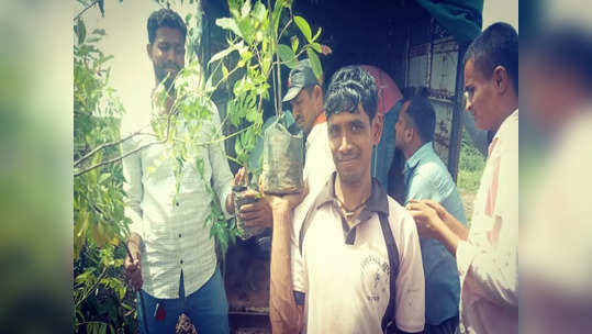 सर्वांना हेवा वाटेल असं काम, तरुणांनी गावात उभारलं ऑक्सिजन पार्क; हजार वृक्षांच्या लागवडीचा भन्नाट उपक्रम