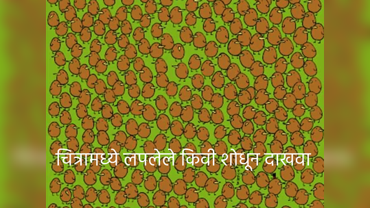 पक्ष्यांच्या पिल्लांमध्ये हरवले आहेत ४ किवी, तुमची नजर तिक्ष्ण असेल तर शोधून दाखवा