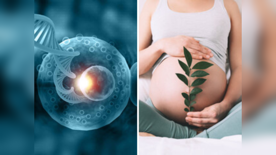 वंध्यत्वाची वाढती समस्या, IVF प्रक्रियेतील यशाबाबत गैरसमज दूर करण्याची गरज