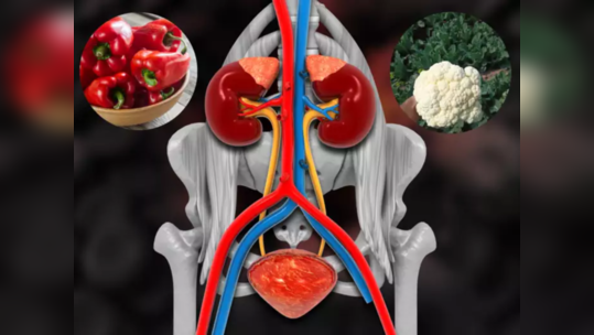 किडनीचे फिल्टर मजबूत करतात या 10 स्वस्त भाज्या, लघवी व शौचातून सहज सेकंदात बाहेर पडतात मुतखडे व विषारी घाण घटक