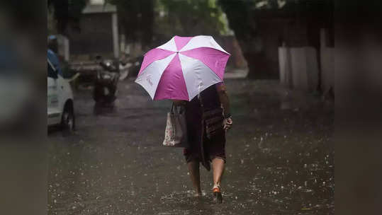 थंडी पळाली,  शुक्रवारी पावसाची शक्यता; तापमानातही वाढ होणार