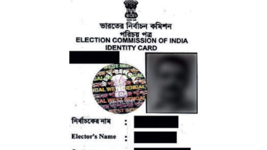 Voter ID Card वरील फोटो आवडला नाही? अशाप्रकारे घर बसल्या करा अपडेट