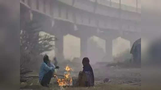 Weather Update: थंडगार-बोचरे वारे, भरदिवसा अंधार, दाट धुकं; राजधानीत थंडीचा कहर, तापमान...