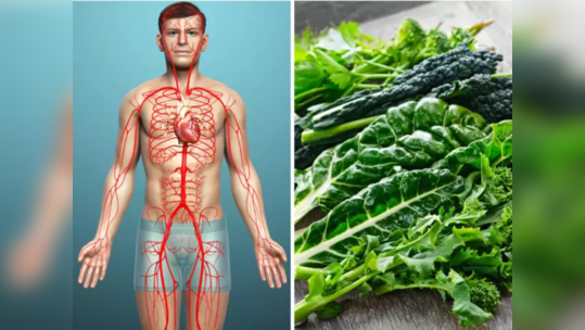 Iron Rich Vegetable: ब्लड बॅंक या 10 भाज्या, सुकलेल्या निर्जिव नसांत भरतात सळसळून रक्त, कावीळ-एनिमिया होतो नष्ट