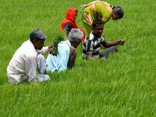 Farm Loan Waiver