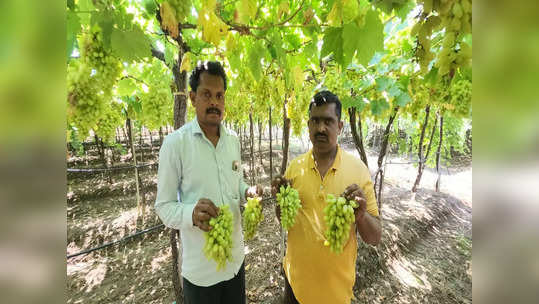 प्राध्यापकाची नोकरी सोडली अन् भावाच्या व्यवसायात गुंतले, पोषक वातावरणाचा अभाव, तरीही बंधुंचा धाडसी प्रयोग