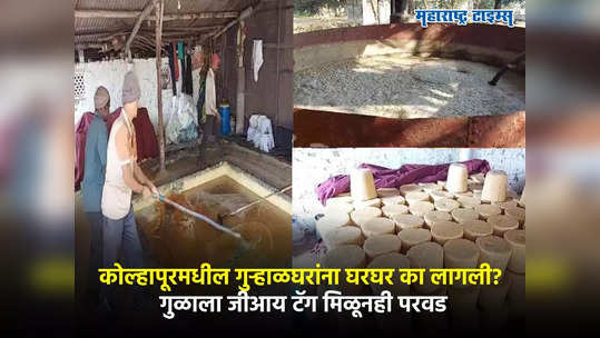 Kolhapur Jaggery :कोल्हापुरी गुळाला जीआय टॅग मिळाला पण गुऱ्हाळघरांना घरघर, शेतकऱ्यांची परवड का सुरु?