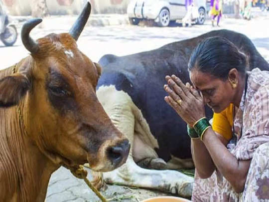 विश्व कल्याण तभी होगा जब गौ माता की सेवा का बीड़ा उठाएंगे, गौ माता की सेवा सबसे बड़ा धर्म है