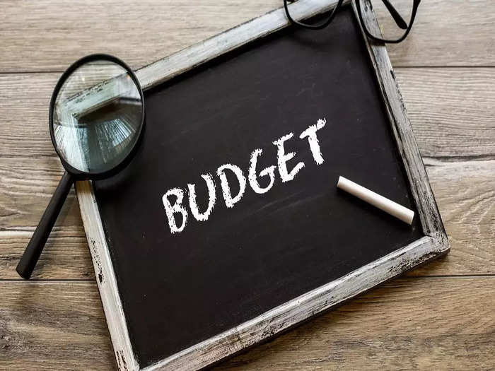 Interim Budget 2024 picks