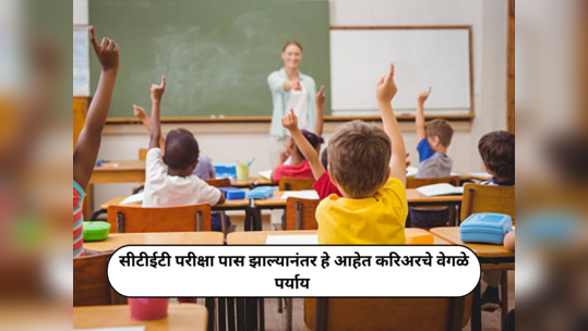 Teaching Jobs After CTET : सीटीईटी परीक्षा पास झाल्यानंतर हे आहेत करिअरचे वेगळे पर्याय