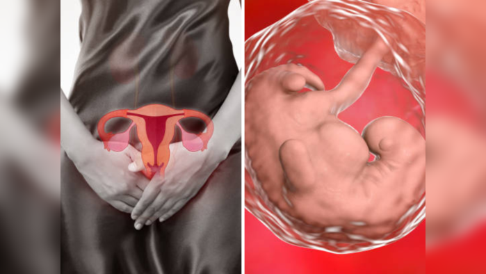 Prolapsed Uterus: त्रासदायक शारीरिक संबंध आणि बद्धकोष्ठतेमुळे योनीबाहेर येते गर्भाशय, काय आहे नक्की प्रकार