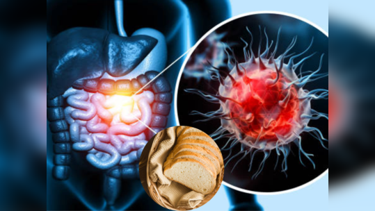 ब्रेड खायला आवडत असेल तर व्हा अलर्ट, रिसर्चमध्ये धक्कादायक खुलासा होऊ शकतो कॅन्सर