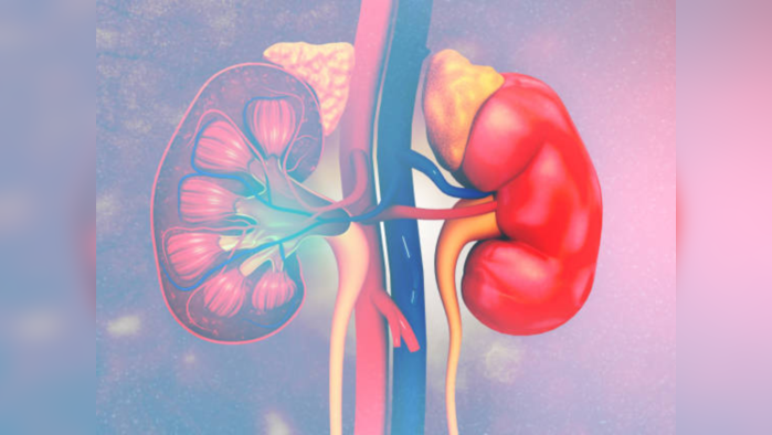 १७% क्रोनिक किडनी डिसीजसह ग्रस्त रूग्ण भीतीदायक आकडा, Kidney हेल्दी राखण्याचे सोपे उपाय