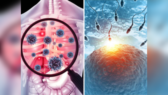 क्षयरोगामुळे उद्भवते वंध्यत्व, पुरूषांची प्रजनन क्षमता आणि गर्भवती महिलांनाही धोका