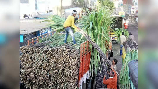 ऊस उत्पादकांचा मतदानावर बहिष्कार; बुलढाणा, जळगाव जिल्हाधिकाऱ्यांना दिले निवेदन