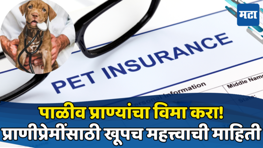 प्राणीप्रेमी आहात? आजार, हरवल्यास मिळेल भरपाई; जाणून घ्या Pet Insurance चे फायदे