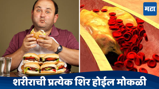 Bad Cholesterol: शरीराची प्रत्येक शिर होईल मोकळी,आहारातून ताबडतोब काढा या गोष्टी, महिन्याभरात कोलेस्ट्रॉल होईल कमी