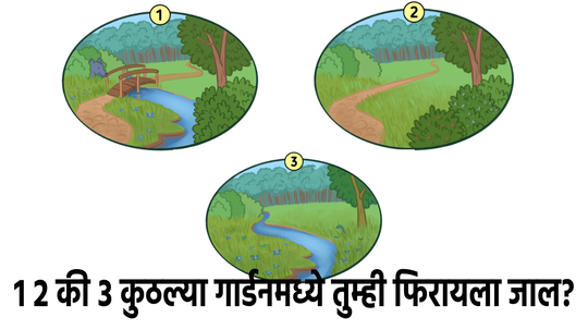 १ २ की ३ सांगा पाहू कुठली बाग आहे सुरक्षित? ९९ टक्के लोकांनी दिलंय चुकीचं उत्तर, तुम्ही हे कोडं सोडवू शकता का?