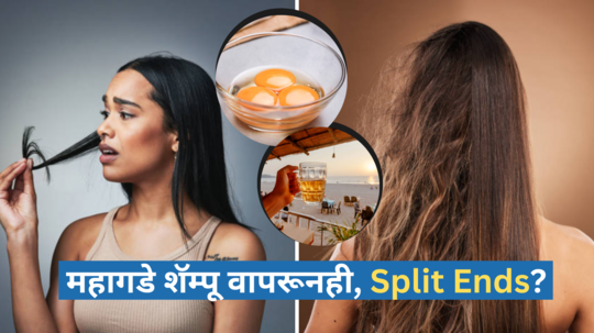 महागडे शॅम्पू वापरूनही Split Ends येतात, हे घरगुती उपाय नक्की करून पाहा