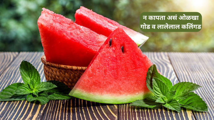 Summer Fruit Tips: न कापताच ओळखा गोड व लालेलाल कलिंगड, खरेदी करताना ही एक ट्रिक करा फॉलो, कधीच होणार नाही फसवणुक