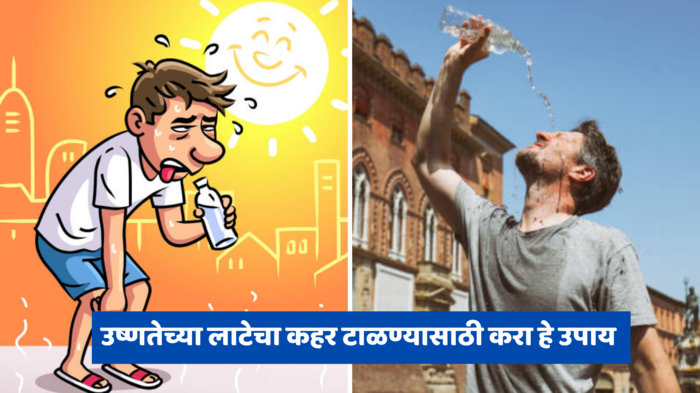 Heat Wave उष्णतेच्या लाटेचा वाढता कहर टाळण्यासाठी खा हे पदार्थ, शरीराला मिळेल थंड पाण्यासारखा थंडावा