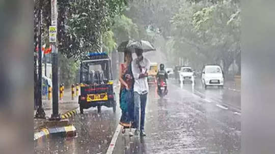 Weather Forecast: विदर्भात आजपासून गारपिटीसह वादळी पावसाचा अंदाज, 'या' भागांना अलर्ट