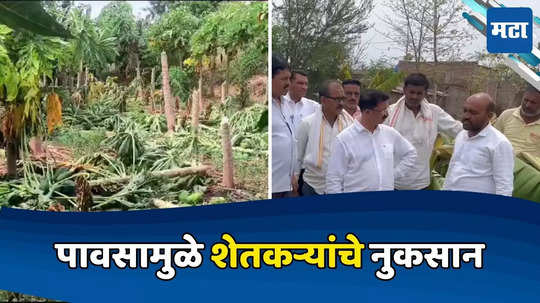 Rain News: वादळी वाऱ्यासह पावसाचा फटका, पपई आणि केळीच्या फळबागा भुईसपाट, कॉंग्रेस उमेदवारांकडून नुकसानग्रस्त भागाची पाहणी