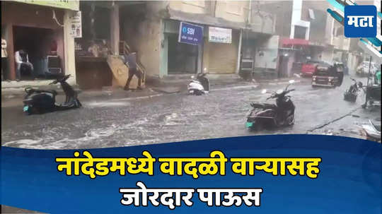 Rain News: नांदेडला पावसाने झोडपलं, वीज पडल्याने जनावरं दगावली, शेतीचं मोठं नुकसान झाल्यानं बळीराजा चिंतेत