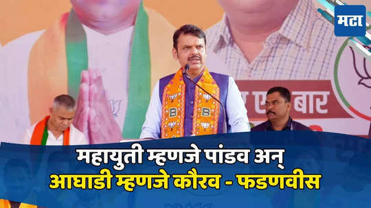 Palghar Loksabha: बेडूक फुगला तर बैल होत नाही आणि लांडगा कधी वाघ होत नाही, फडणवीसांचा ठाकुरांवर हल्ला