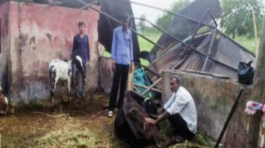 Chhatrapati Sambhajinagar Rain : टापरगावमध्ये वादळी वाऱ्यासह गारपीट; नांदेडात वीज कोसळून एकाचा मृत्यू