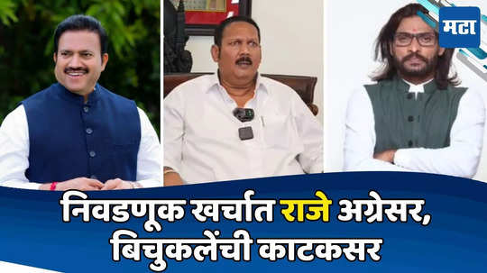 Satara Lok Sabha : साताऱ्यात 'होऊ दे खर्च', उदयनराजेंचे ४९ लाख, शिंदेंचे किती? बिचुकलेंनी किती उडवले?