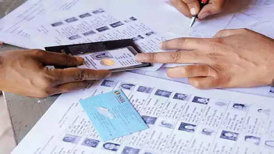 मतदानाला जाताय? Voter ID Card नसल्यास 'या' १२पैकी एक ओळखपत्र जवळ ठेवा