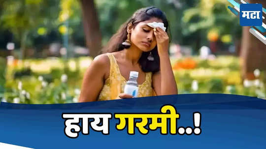 Heat Wave: पुढील सात दिवस उष्णतेच्या तीव्र लाटेचा इशारा, पारा ४७ अंशावर पोहोचणार