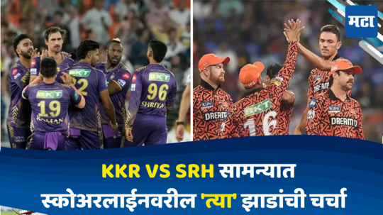 KKR vs SRH: सामना KKR vs SRH अन् चर्चा स्कोअरलाईनवरील 'त्या' झाडांची; प्ले ऑफसाठी BCCIचा प्लान काय?