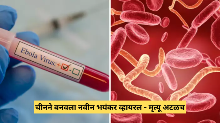 Ebola Virus: निर्दयी चीनने बनवला आता नवीन व्हायरस, तीन दिवसांत होतो तडफडून मृत्यू, हे 8 अवयव होतात कायमचे डॅमेज