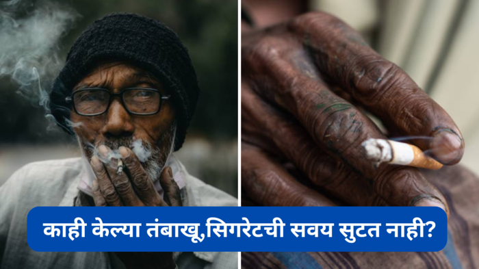 World No Tobacco Day : काही केल्या तंबाखू,सिगरेटची सवय सुटत नाही? हे 5 पदार्थ करतील मदत