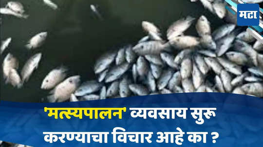 Fish Farming : 'मत्स्यपालन' करा अन् बक्कळ पैसा कमवा, व्यवसाय कसा सुरू करावा?  सरकारकडून किती अनुदान मिळते ? जाणून घ्या