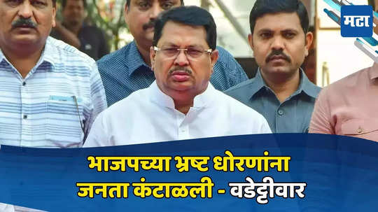 Lok Sabha Result: गडचिरोली-चिमूरमध्ये काँग्रेसचा पराभव झाल्यास राजकीय संन्यास घेणार,विजय वडेट्टीवारांचं वक्तव्य