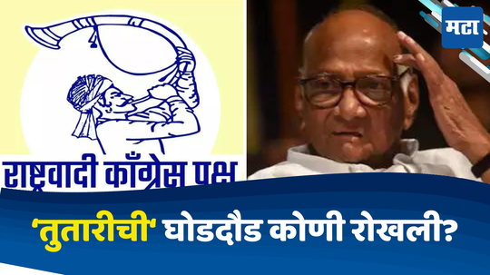 NCP SP Symbol: साताऱ्यात शिंदेंचा घात कोणी केला?  लंकेंचे मताधिक्य कोणामुळे घटले? निकालानंतर समोर आले धक्कादायक आकडे