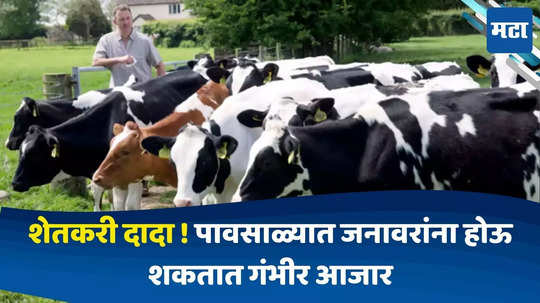 Animal diseases during rainy season : शेतकरी दादा !पावसाळा सुरू होतोय,जनावरांना गंभीर आजार होऊ शकतात, काळजी कशी घ्यावी ? जाणून घ्या