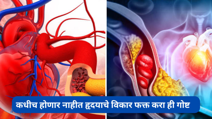 Heart Blockage: हृदयाच्या नसांमध्ये सडलेली घाण क्षणात पडेल बाहेर, कधीच होणार नाहीत हृदयाचे विकार