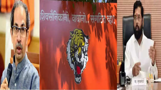 Shivsena News : शिवसैनिकांनो, वाघांनो… संघटित व्हा; ठाकरे-शिंदेंनी एक व्हावं, महाराष्ट्र सदनाबाहेर बॅनर