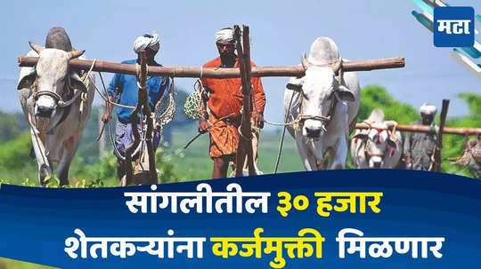 Sangli Farmer Loan Waiver : शेतकऱ्यांना मोठा दिलासा, 'या' जिल्हा बँकेने ३०,००० शेतकऱ्यांना कर्जमुक्त करण्याचा घेतला निर्णय