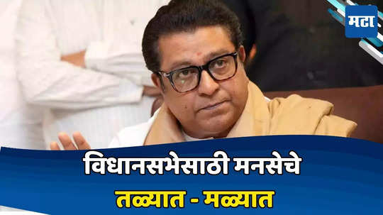 Raj Thackeray: २० जागा लढणार असल्याची पुडी कुणी तरी सोडली; २० जागा का? आपण २०० ते २२५ जागा लढवित आहोत, पण...